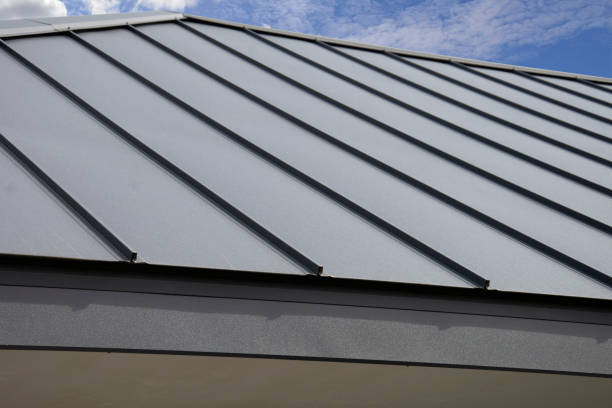 Roof Coating Services in Ponderosa Pine, NM